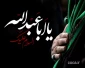 هَیهَاتَ مِنَّا الذِّلَّة