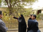 بازدید سرکار خانم دکتر محمد بیگی نماینده محترم استان قزوین 3
