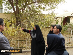 بازدید سرکار خانم دکتر محمد بیگی نماینده محترم استان قزوین 3