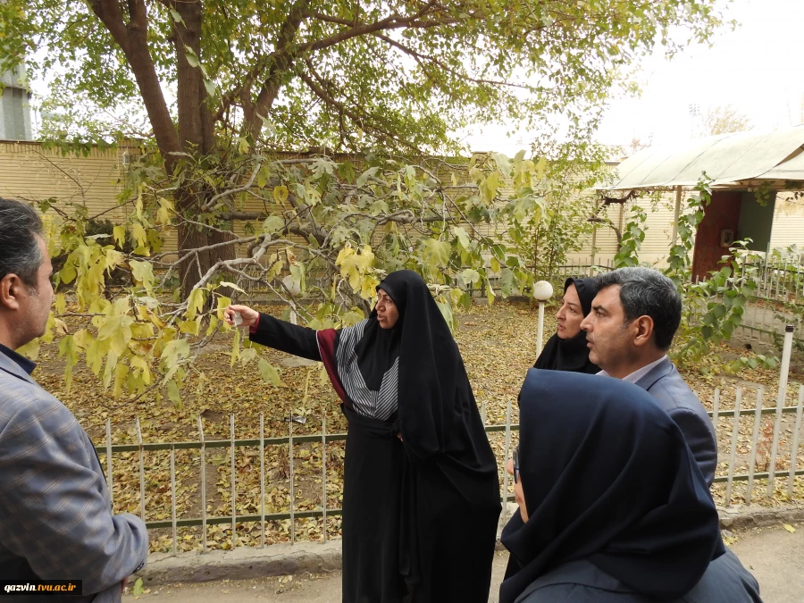 بازدید سرکار خانم دکتر محمد بیگی نماینده محترم استان قزوین 3