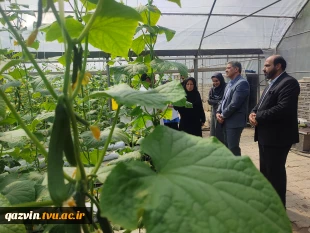 حضور ریاست دانشگاه ملی مهارت در دانشکده دختران دکتر شریعتی تهران و بازدید از گلخانه دانشکده 6