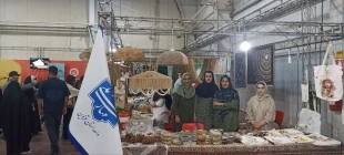 حضور فعال دانشگاه ملی مهارت استان قزوین در نمایشگاه توانمندی‌های بانوان استان 9