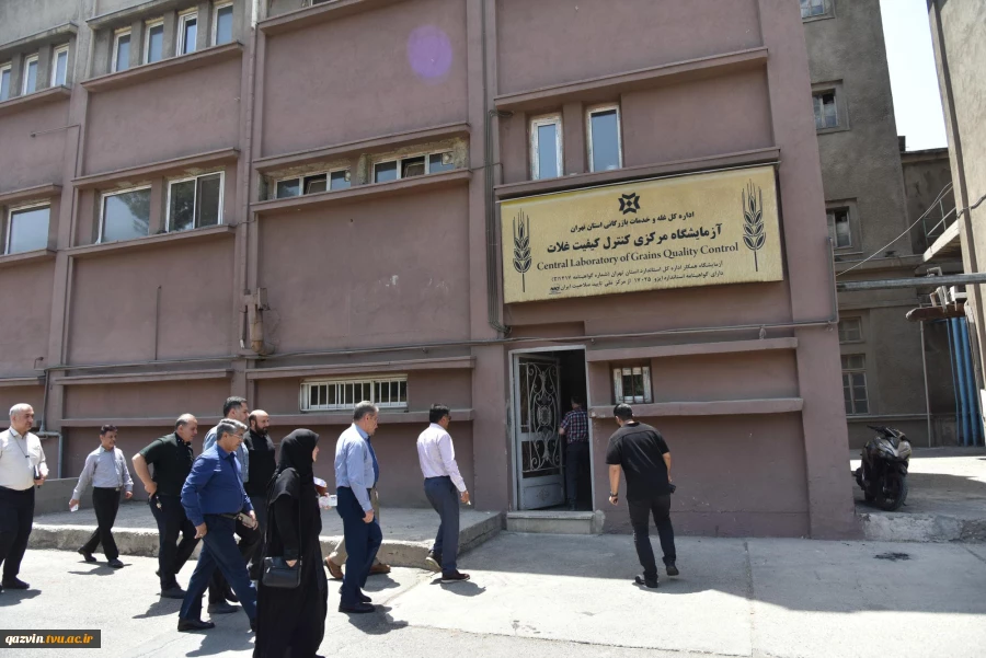 رئیس دانشگاه ملی مهارت با مدیرکل غله و خدمات بازرگانی استان تهران دیدار و گفت‌وگو کرد 10