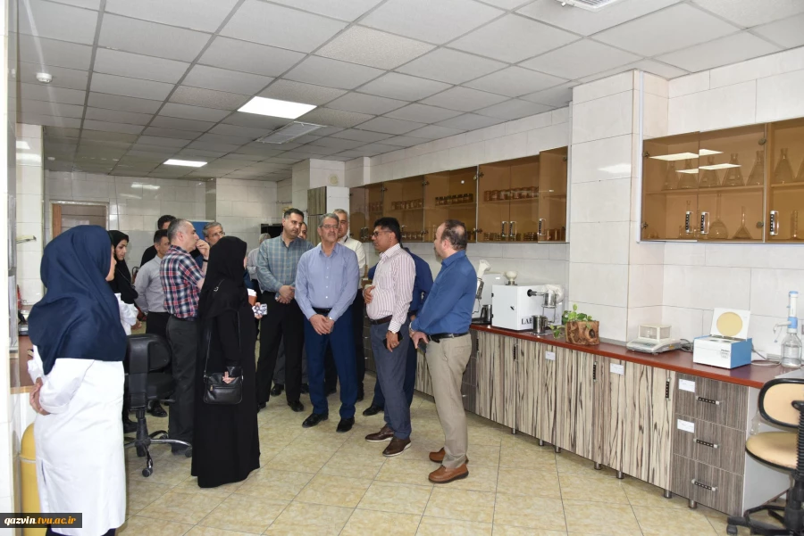 رئیس دانشگاه ملی مهارت با مدیرکل غله و خدمات بازرگانی استان تهران دیدار و گفت‌وگو کرد 12