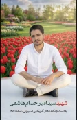 شهادت، پاداش ایمان و مجاهدت؛ پیام تسلیت دانشگاه ملی مهارت استان قزوین در پی شهادت «سید امیرحسام هاشمی» 7