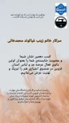 درخشش بانوی هنرمند قزوینی در عرصه ملی؛ کسب نشان «شیما» توسط سرکار خانم زینب غیاثوند محمدخانی دانشجوی دانشگاه ملی مهارت دختران قزوین