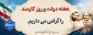 هفته دولت